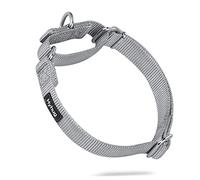 Premium actualizado Cuello de Perro Martingale antivaho de Nylon Resistente para Perros Grandes, pequeños, medianos, pequeños y pequeños (Grande L, Gris aguanieve)