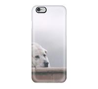 Premium Dog Back Cover Snap On Case For Iphone 6 Plus