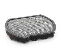 Premium Filtro de protección de Motor Compatible con Bosch BGS41SIL66/01, BGS41SIL66/02, BGS41SIL66/04, BGS41X300 - Filtro contenedor de Polvo - Lavable - Accesorios, repuestos