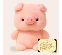 Premium Moments Peluche Cerdito Dulce Dia del Padre · Regalo Romántico con Peluche a Elegir + Tarjeta con Dedicatoria Personalizada · Detalle Original y Emocional para Sorprender
