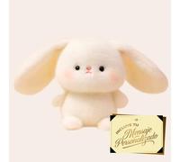 Premium Moments Peluche Conejito Delicado Dia del Padre · Regalo Romántico con Peluche a Elegir + Tarjeta con Dedicatoria Personalizada · Detalle Original y Emocional para Sorprender