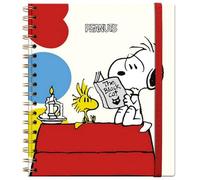 Premium Paper - Cuaderno de notas con espiral, 17 x 20 cm