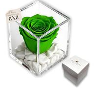 Premium-Rose - Rosa roja estabilizada en cubo transparente - Cubo con una auténtica y verdadera rosa que dura incluso más de 5 años