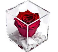 Premium-Rose - Rosa roja estabilizada en cubo transparente - Cubo con una auténtica y verdadera rosa que dura incluso más de 5 años