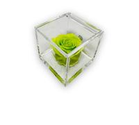 PremiumRose - Cubo de rosa estabilizado verde con verdadera rosa eterna, idea de regalo para mamá, novia, cumpleaños, descuento de graduación (1069)