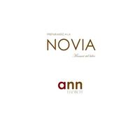 Preparando a la Novia Manual del Líder - Ann Elizabeth