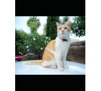 Prepare for CDP Cloudera Administrator Cloud Certification Exam: Cloudera CDP Mastering Cloudera Data Platform in the Public Cloud Certification (Cloudera Certifications & Concepts)