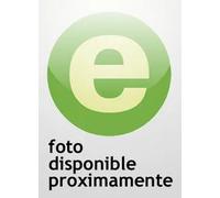 Prescripcion penal, la: fundamento y aplicacion. Texto adaptado a la lo 15/2003 de reforma del códig | Ramon Raguesvalles