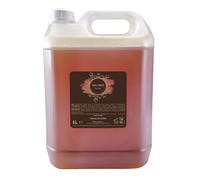 PRESENT-MORE - Gel de baño de 5 l Arganier - Paquete de 4 unidades - Gel de ducha sin alérgenos - Fragancia Argán - Made in Italy - Ideal para hoteles y B&B