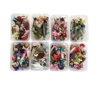 Pressed Dried Flower Craft Kit - Real Natural Plant Leaves Herb Set, Colorful DIY Resin Jewelry Making Material Item, Decorative Handmade Art Supply Accessory Tool | Creative Craft Bundle Epoxy