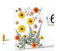 Pressed Flower Frame - Acrylic Clear Standard Size | Dried Flowers Display Photo Frame, Botanical Keepsake Home Decor, Transparent Floating Picture Frames For Table Desk Wall Display | Home Decor