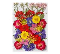 Pressed Flower Stickers - Aesthetic Plant Set For Journaling | 35PCS Real Dried Design, Scrapbook Craft Supplies, Natural Decorative Ornament, Creative Art Tool, DIY Journal Accessory