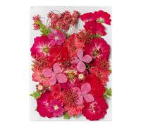 Pressed Flower Stickers - Aesthetic Plant Set For Journaling | 35PCS Real Dried Design, Scrapbook Craft Supplies, Natural Decorative Ornament, Creative Art Tool, DIY Journal Accessory