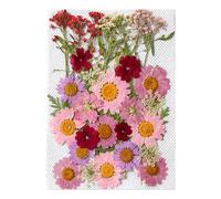 Pressed Flower Stickers - Aesthetic Plant Set For Journaling | 35PCS Real Dried Design, Scrapbook Craft Supplies, Natural Decorative Ornament, Creative Art Tool, DIY Journal Accessory