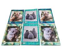 PRESTIGE & DELUXE WWF - Juego de cuadernos de 6 piezas para la escuela con gráficos fotográficos, cuadros de 5 mm, 30 % más de páginas y bolígrafo de color de regalo