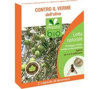 PRESTO BIO FEROMONAS CONTRA EL GUSANO DEL OLIVO PARA TRAMPA INSECTOS