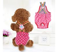 Pretfy Pañal para Perros Premio Actualización de Perros Fisiológicos Sospechoso en Ropa Interior Little Pavapy Red Sanitary Rose para - Solución Profesional de Grado (No. 8 (XS) Se Recomienda Que