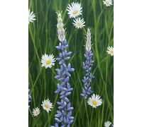 Pretty in Purple Flower and Daisy Journal
