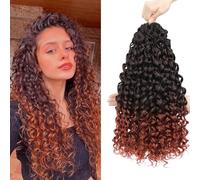 Pretwisted Gogo Curl Crochet Hair 18 Inch 8 Packs Curly Crochet Hair for Women Pre looped Ocean Wave Crochet Hair Beach Curl Crochet Hair Deep Wave Crochet Braiding Hair Extensions (T/350, 18inch)