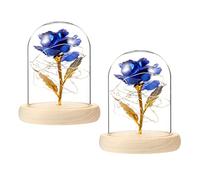 PRETYZOOM 2 Piezas Rosa De Pan De Oro Guirnalda Ligero Planta Flores Rosas Artificiales para Decorar Luces De Hadas Decoración Estética De La El Cubierta De Vidrio De Borosilicato