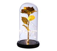 PRETYZOOM Preserved Glass Dome with LED Light Romantic Valentine's Day Present For Anniversaries and Special Occasions Elegant Home Decor