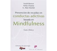 Prevencion De Recaidas En Conductas Adic: Guía clínica: 183 (Biblioteca de Psicología)