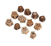Prevessel Bloques para Masticar Pájaros con Nueces Secas Naturales, Juguete de Molienda de Pico Seguro y No Tóxico para Loros Agapornis, 60 Unidades
