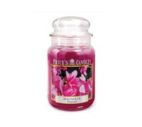 Price's - Vela en tarro grande Magnolia - Dulce, deliciosa, fragancia de calidad - Aroma de larga duración - Hasta 150 horas de tiempo de combustión