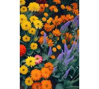 Pride in Bloom: Bold Blossoms Notebook: colorful garden lined notebook 6 x 9 inches