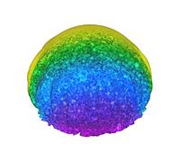 Pride Rainbow Glitter Stripes Sparkles Gorro de ducha para mujer, ajustable, doble, impermeable, gorro de ducha, protección del cabello, reutilizable, para mujer, spa, salón de ducha