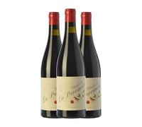 Prieto Pariente La Provincia Vino de la Tierra de Castilla y León 75 cl Vino tinto (Caja de 3 Botellas de 75 cl)