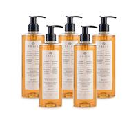 Prija Champú Fortificante Limpia y Revitaliza el Cabello con Eruca Sativa para Todo Tipo de Cabello, Hidratante Champú Aporta Brillo y Mejora la Textura 5 x 380ml