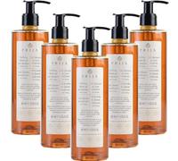 Prija Champú revitalizante para la piel y el cabello con ginseng 380 ml Hair & Body Gel de ducha (5)