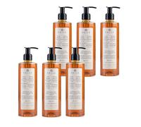 Prija Gel Vitalizante 2 en 1 de Ducha y Champú con Extracto de Ginseng, Hidratante y Energizante para Cabello y Cuerpo con Dosificador, Gel de Ducha Lujoso 6 x 380ml