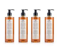 Prija Jabón de Manos Vitalizante con Extracto de Ginseng - Limpia Suavemente las Manos, Jabón Líquido Hidratante, Apto para Veganos con Fragancia Energizante, 380 ml x 4