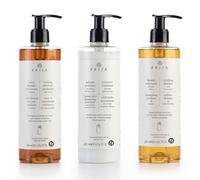 Prija Set de 3 x 380 ml champú revitalizante con ginseng, champú de construcción con extracto de rúcula, acondicionador protector con extracto de nuez verde, cabello y cuerpo
