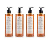 Prija Gel Vitalizante 2 en 1 de Ducha y Champú con Extracto de Ginseng, Hidratante y Energizante para Cabello y Cuerpo con Dosificador, Gel de Ducha Lujoso 4 x 380ml