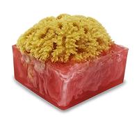 Primal Elements Aloha - Varillas de esponja (2 unidades)