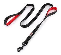 Primal Pet Gear Correa para Perro de 1,8 m de Largo - Acolchado de tráfico de Dos Asas - Resistente - Correa de Doble asa para Entrenamiento de Seguridad de Control - Correas para Perros Grandes o