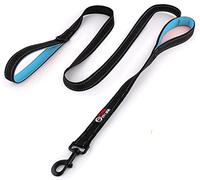 Primal Pet Gear Correa para perro de 6 pies de largo, acolchado de tráfico, de dos asas, resistente, reflectante de doble asa para entrenamiento de seguridad de control, correas para perros grandes o