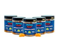 Primal Pump Gominolas de Creatina Monohidratada 4.5g - Creatina en Gominolas para Rendimiento y Potencia - Sin Azúcar, Vegano y Sin Gluten - Sabor Lima Limón (5 Und)