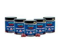 Primal Pump Gominolas de Creatina Monohidratada 4.5g - Sabor Frambuesa - Creatina para Rendimiento y Potencia - Sin Azúcar, Vegano y Sin Gluten (5 Und)