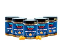 Primal Pump Gominolas de Creatina Monohidratada 4.5g - Sabor Naranja - Creatina para Rendimiento y Potencia - Sin Azúcar, Vegano y Sin Gluten (5 Und)