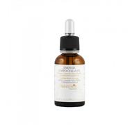 PRIMALINEA SS sinergia corpo cellulite 30/20050