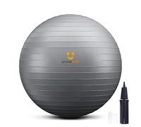 primasole - Pelota de Ejercicio para Equilibrio, Estabilidad, Fitness, Entrenamiento, Yoga, Pilates, en casa, Oficina y Gimnasio, 55 cm, Gris Plateado