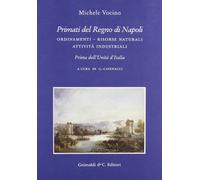 Primati del regno di Napoli. Ordinamenti, risorse naturali Attività industriali prima dell'Unità d'Italia. Ediz. illustrata (Biblioteca napoletana)