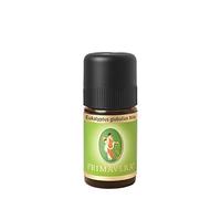 Primavera Organic Essential Oil Invigorating Eucalyptus Globulus 5ml