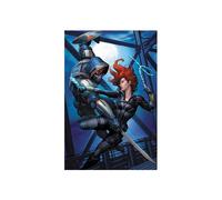 Prime 3d-rd-rs263092 does not apply puzzle lenticular marvel black wid