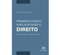 Primeiros Passos Para Entender O Direito (ebook)