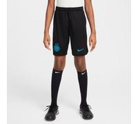 Primera equipación Stadium Inter de Milán 2025/26 Pantalón corto de fútbol Replica Nike Dri-FIT - Niño/a - Negro XS